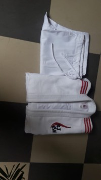 Men martial art Uniform